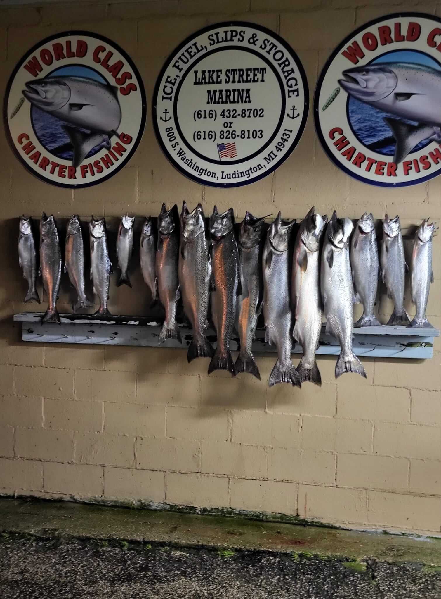 Vertical Fishing Image 8